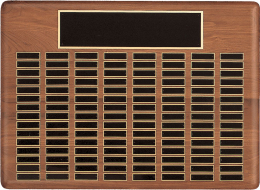 22" x 30",  96-plate Perpetual Plaque