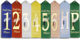 Field Day Ribbon (25 pack)