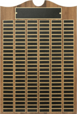 20" x 30", 150-plate Perpetual Plaque