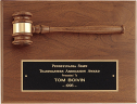 xxxParliament Series Gavel Plaque - PG2782