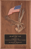 xxxAmerican Eagle & Flag Plaque  P2394